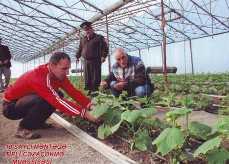 Məhkumlar üçün yeni iş yerləri - FOTO